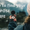 finding your purpose in life