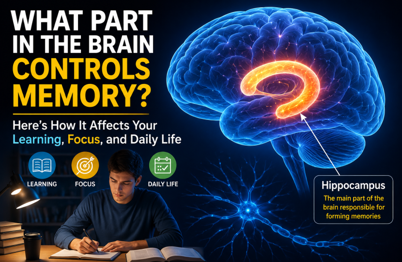 what part in the brain controls memory