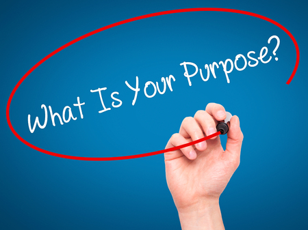 what Is my purpose